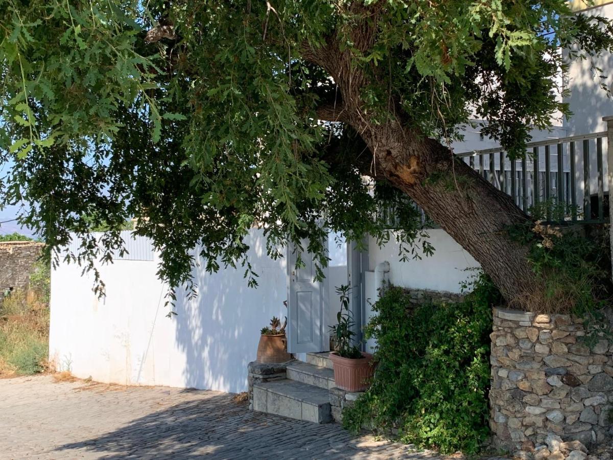 Moeses House *